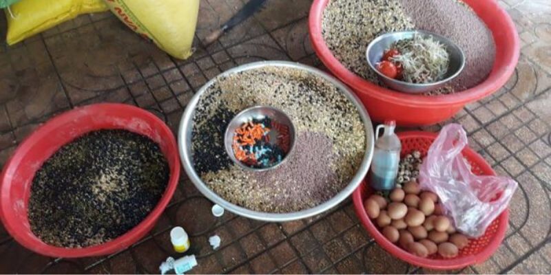 Lưu ý khi chọn thức ăn cho gà đá Lưu ý khi chọn thức ăn cho gà đá