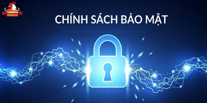 Trách nhiệm của người chơi về chính sách bảo mật Thomo888 Trách nhiệm của người chơi về chính sách bảo mật Thomo888