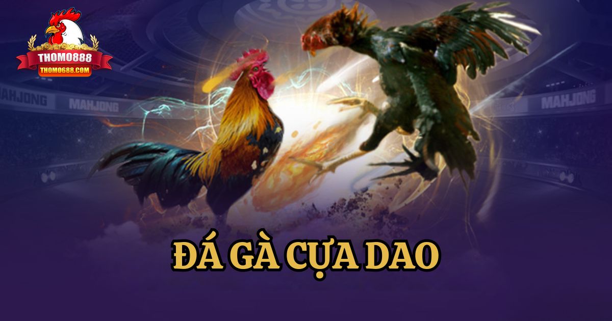 Đá Gà Cựa Dao Và Kinh Nghiệm Cá Cược Tại Nhà Cái Thomo888