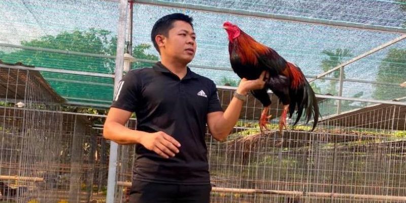 Giới thiệu chung về trại gà Hưng Cần Thơ Giới thiệu chung về trại gà Hưng Cần Thơ