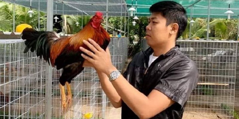 Chủ của trại gà này là ai? Chủ của trại gà này là ai?