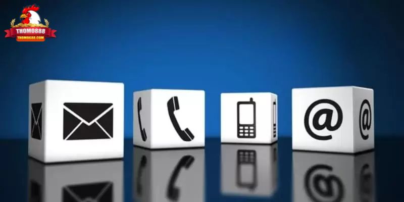 Các kênh liên hệ Thomo888 nhanh chóng Các kênh liên hệ Thomo888 nhanh chóng