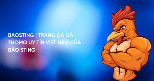 Đá gà Thomo là gì? Đá gà Thomo là gì?