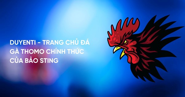 Giới thiệu tổng quan về Duyenti - Nhà cái đá gà số 1 Việt Nam Giới thiệu tổng quan về Duyenti - Nhà cái đá gà số 1 Việt Nam