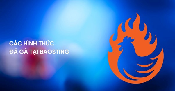Các hình thức đá gà tại trang chủ Baosting Các hình thức đá gà tại trang chủ Baosting