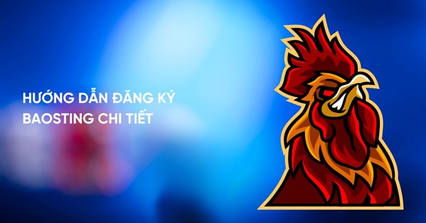 Hướng dẫn đăng ký Baosting chi tiết qua 5 bước Hướng dẫn đăng ký Baosting chi tiết qua 5 bước