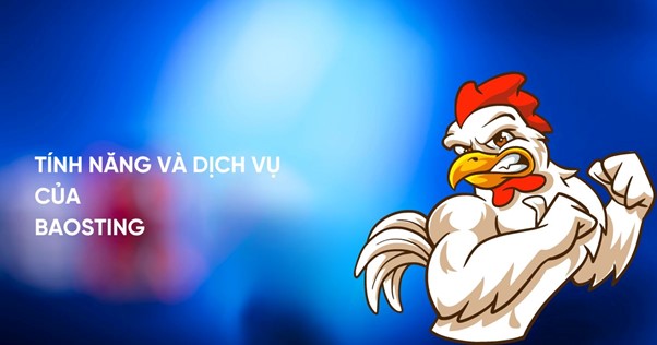 Tính năng và dịch vụ của Baosting Tính năng và dịch vụ của Baosting