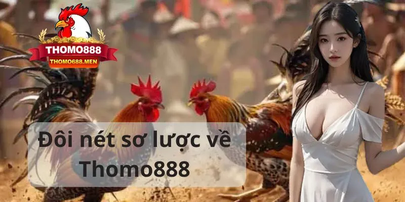 Đôi nét sơ lược về THOMO888 Đôi nét sơ lược về THOMO888