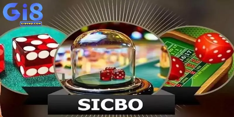 Hướng dẫn luật chơi sicbo Gi8 Hướng dẫn luật chơi sicbo Gi8