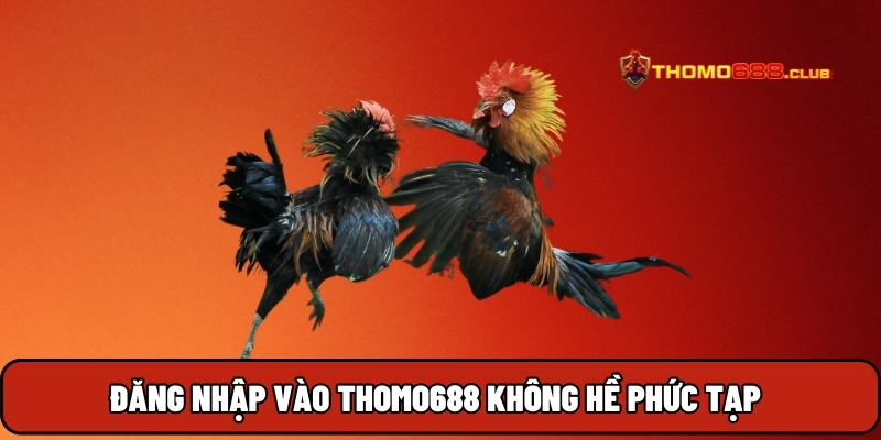 Đăng nhập vào THOMO688 không hề phức tạp Đăng nhập vào THOMO688 không hề phức tạp