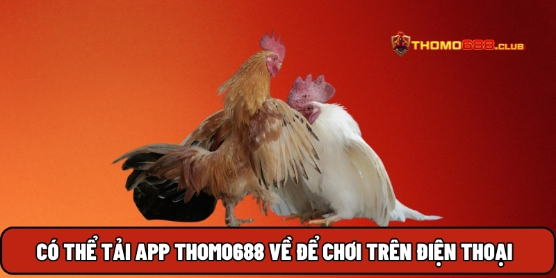 Có thể tải app THOMO688 về để chơi trên điện thoại Có thể tải app THOMO688 về để chơi trên điện thoại