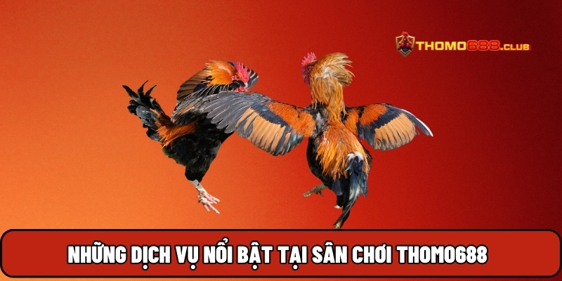 Những dịch vụ nổi bật tại sân chơi THOMO688 Những dịch vụ nổi bật tại sân chơi THOMO688