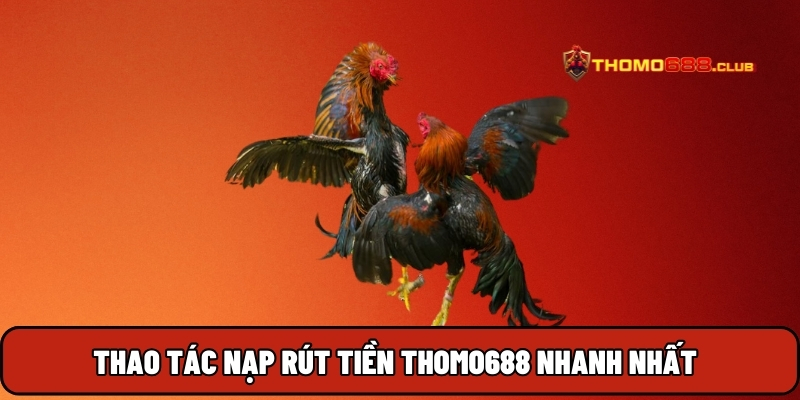 Thao tác nạp rút tiền THOMO688 nhanh nhất Thao tác nạp rút tiền THOMO688 nhanh nhất