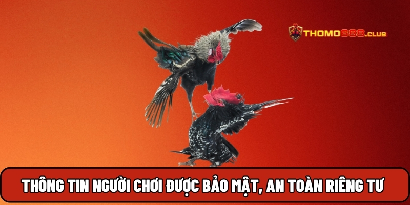 Thông tin người chơi được bảo mật, an toàn riêng tư Thông tin người chơi được bảo mật, an toàn riêng tư