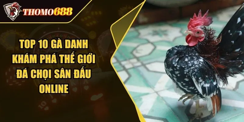 Top 10 Gà Danh - Khám Phá Thế Giới Đá Chọi Sân Đấu Online